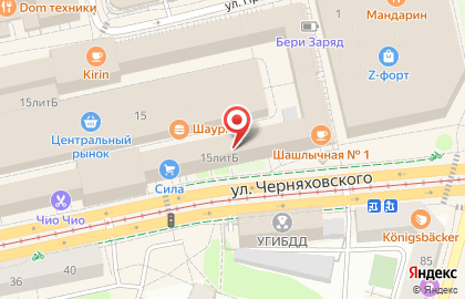 Магазин рыболовных принадлежностей на улице Черняховского на карте
