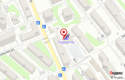 IT-компания Ренск Отчет на карте