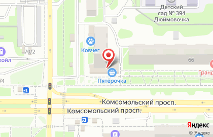 Магазин товаров для животных Ветфарм на Комсомольском проспекте на карте