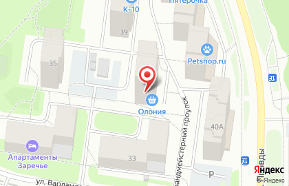 Магазин Олония в Петрозаводске на карте