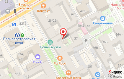 Плюшкин дом на Василеостровской на карте