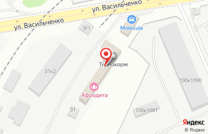Интернет-магазин детской обуви Детос на улице Васильченко на карте