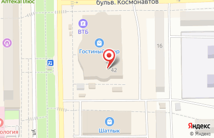 Магазин спортивных товаров Спортмастер на улице Ленина на карте