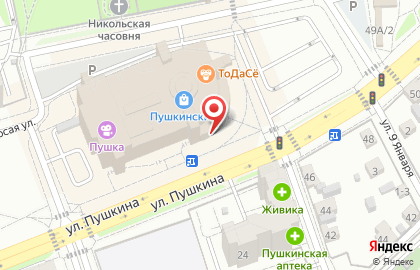 Пункт выдачи заказов Boxberry на улице Пушкина на карте