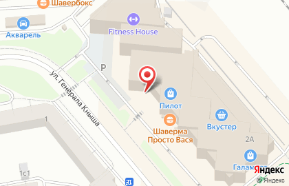 Санкт-Петербургский городской ломбард на улице Генерала Кныша на карте