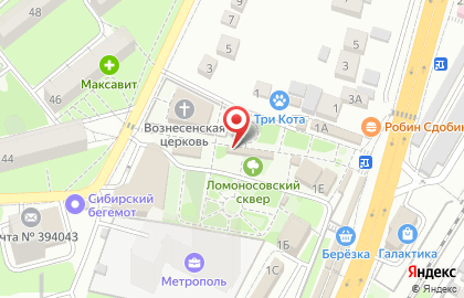 Киоск по продаже специй и сухофруктов в Воронеже на карте