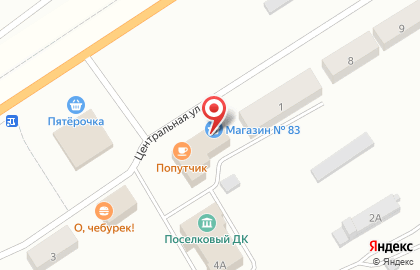Магазин №83 на Центральной улице на карте
