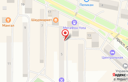 Всероссийское общество инвалидов Амурского района на карте