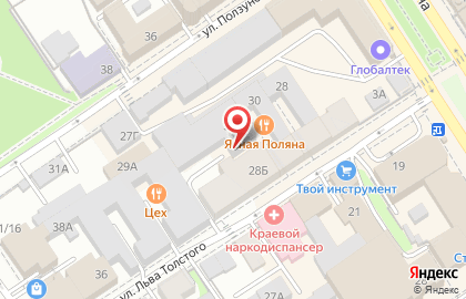 Туристическое агентство Омега-Тур на улице Льва Толстого на карте