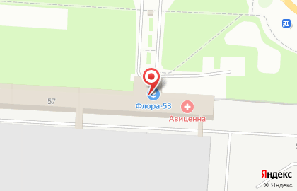 Поликлиника Авиценна в Великом Новгороде на карте