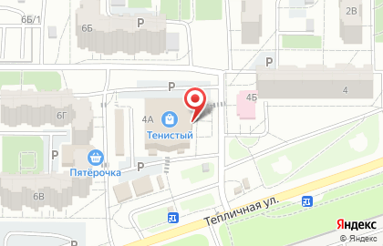 Магазин цифровой и бытовой техники DNS на Тепличной улице на карте