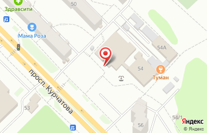 Торговая компания Эколайн на проспекте Курчатова на карте