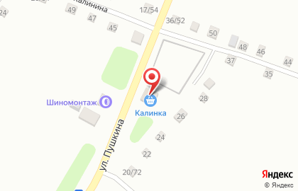 Магазин Калинка на улице Пушкина на карте