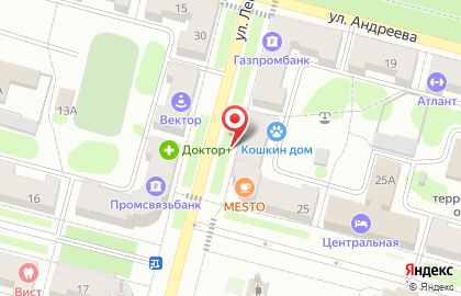 Триумф на улице Ленина на карте