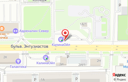 АЗС Башнефть на бульваре Энтузиастов на карте