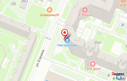 Магазин цветов и подарков Настроение на проспекте Просвещения на карте