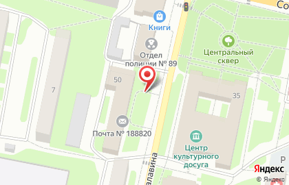 Аптека Невис на улице Шалавина в Рощино на карте