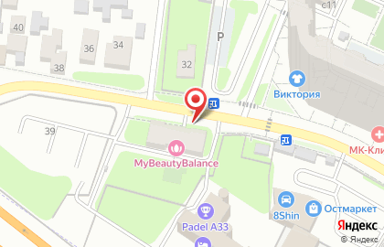 Зубр в Мытищах на карте