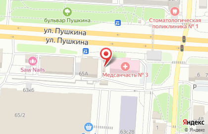 Цветочный салон Жасмина на улице Пушкина на карте
