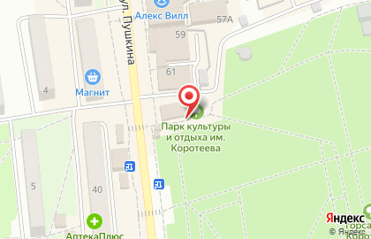 Общественная организация Союз пенсионеров на улице Пушкина на карте