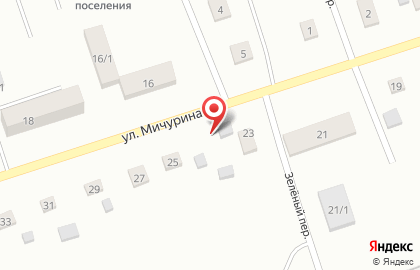 Продуктовый магазин Марина на улице Мичурина на карте