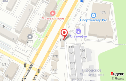 Автодисконт на проспекте Кулакова на карте