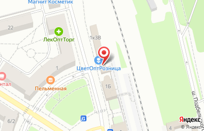 Приемный пункт химчистки Пингвин на Привокзальной площади, 1 к 3б в Пушкине на карте