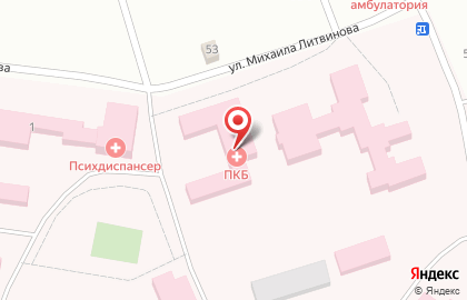 Областной клинический психоневрологический диспансер на Лесной на карте