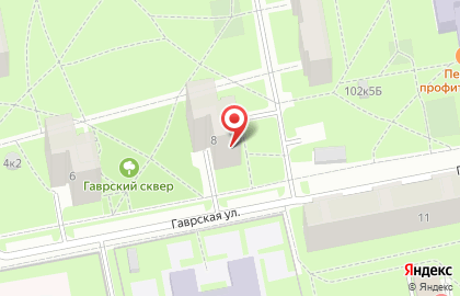 Продовольственный магазин в Выборгском районе на карте