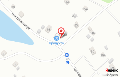 Продуктовый магазин на Центральной улице на карте
