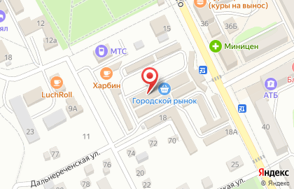 Микрокредитная компания кв Пятый Элемент Деньги в Дальнереченске на карте