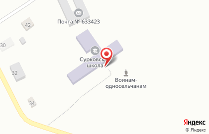С. Сурково Сурковская средняя школа с дошкольным отделением на Центральной улице на карте