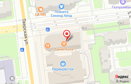 Центр имплантации и стоматологии ИНТАН на Тверской улице в Колпино на карте