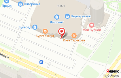 Банкомат Тинькофф в Санкт-Петербурге на карте