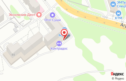 Ветеринарная клиника Барс на улице Космонавтов на карте