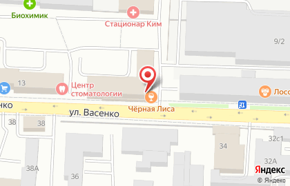Ночной клуб Черная лиса на карте