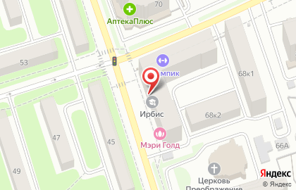 Мега-Сервис на улице Костычева на карте