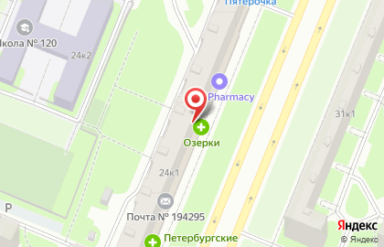 Аптека Озерки в Санкт-Петербурге на карте