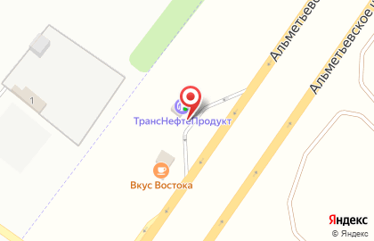 ТрансНефтеПродукт на Альметьевском тракте на карте