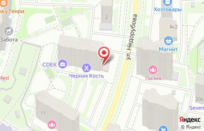 Клинико-диагностическая лаборатория ДиаЛаб на улице Недорубова на карте