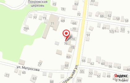 Центр раннего развития детей Росток на Центральной улице на карте