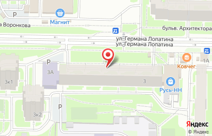 Ада на улице Германа Лопатина на карте