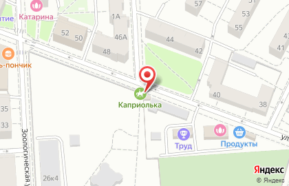 Калининградский зоопарк на улице Чайковского на карте