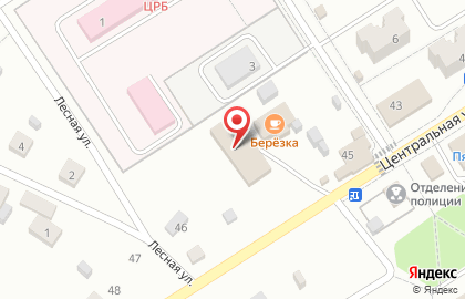 Аптека Сорок плюс на Центральной улице на карте