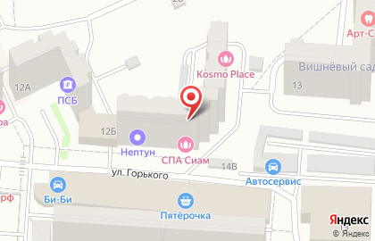 Единый сервис доставки еды Chibbis на улице Горького на карте