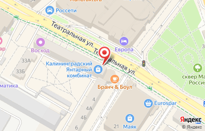 Фирменный магазин изделий из янтаря Калининградский янтарный комбинат на Театральной улице на карте