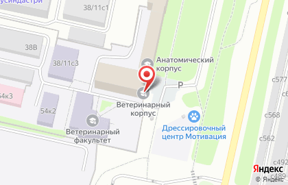 Институт повышения квалификации Рязанский государственный агротехнологический университет им. А.П. Костычева на карте