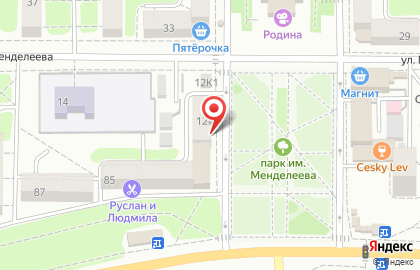 Зоомагазин У Сони на улице Менделеева на карте