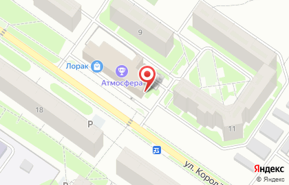 Магазин зоотоваров и одежды для животных Пес и кот на улице Королёва на карте