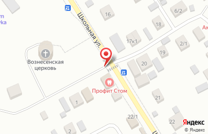 Чесноковский детский дом для детей-сирот и детей, оставшихся без попечения родителей на карте